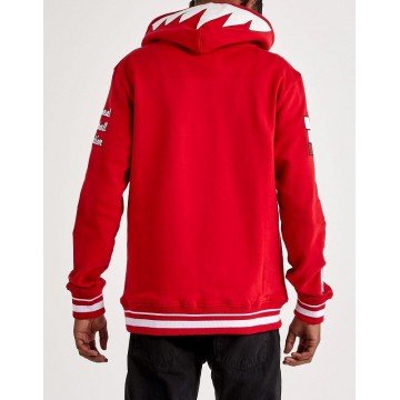 Men's Chicago Bulls 6X Champs Cotton Hoddie