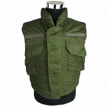 Resident Evil Chris...