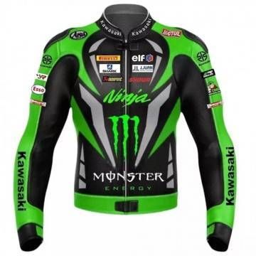 Kawasaki Ninja Monster...