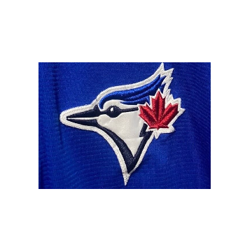 HOT Toronto Blue Jays 19 Jose Bautista Jersey